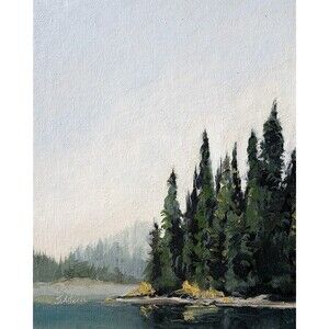 Original Oil Landscape Painting Coastal Maine Calm Lake Tall Pines 8x10 Signed